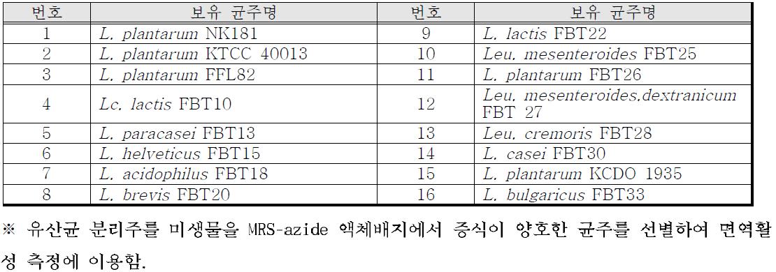 본 실험실 보유 유산균 목록