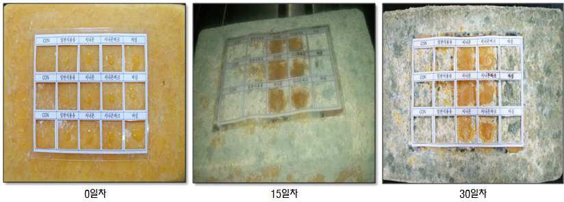 Effect of essential oil on the fungal growth inhibition of surface on Tilsiter cheese.