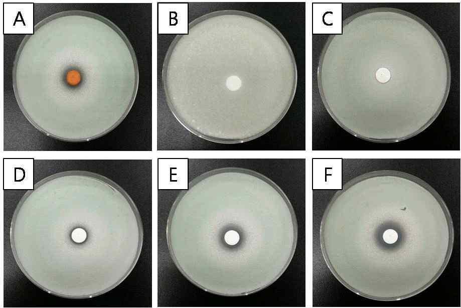 Comparison of antifungal activity from ALH culture medium and lactic acid concentration.