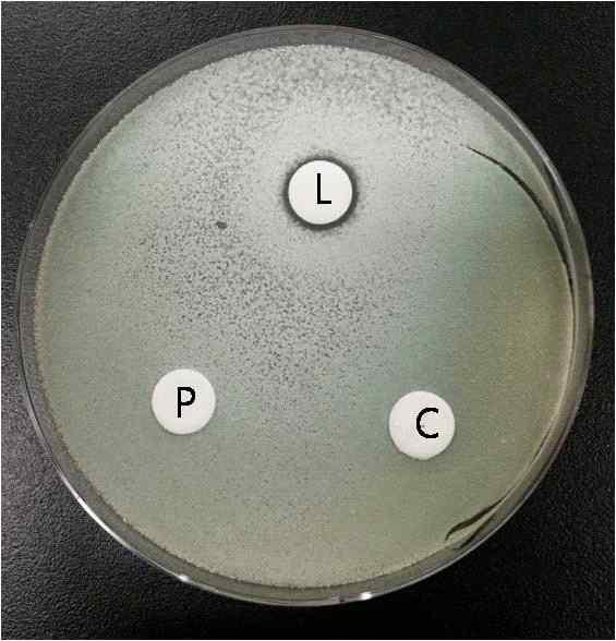 Comparison of antifungal activity by different organic acid.