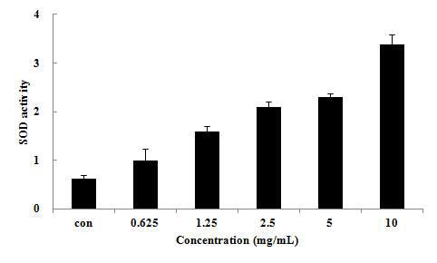 Superoxide dismutase activity of ALH culture medium. Each bar represents the mean±SD of triplicated measurement.