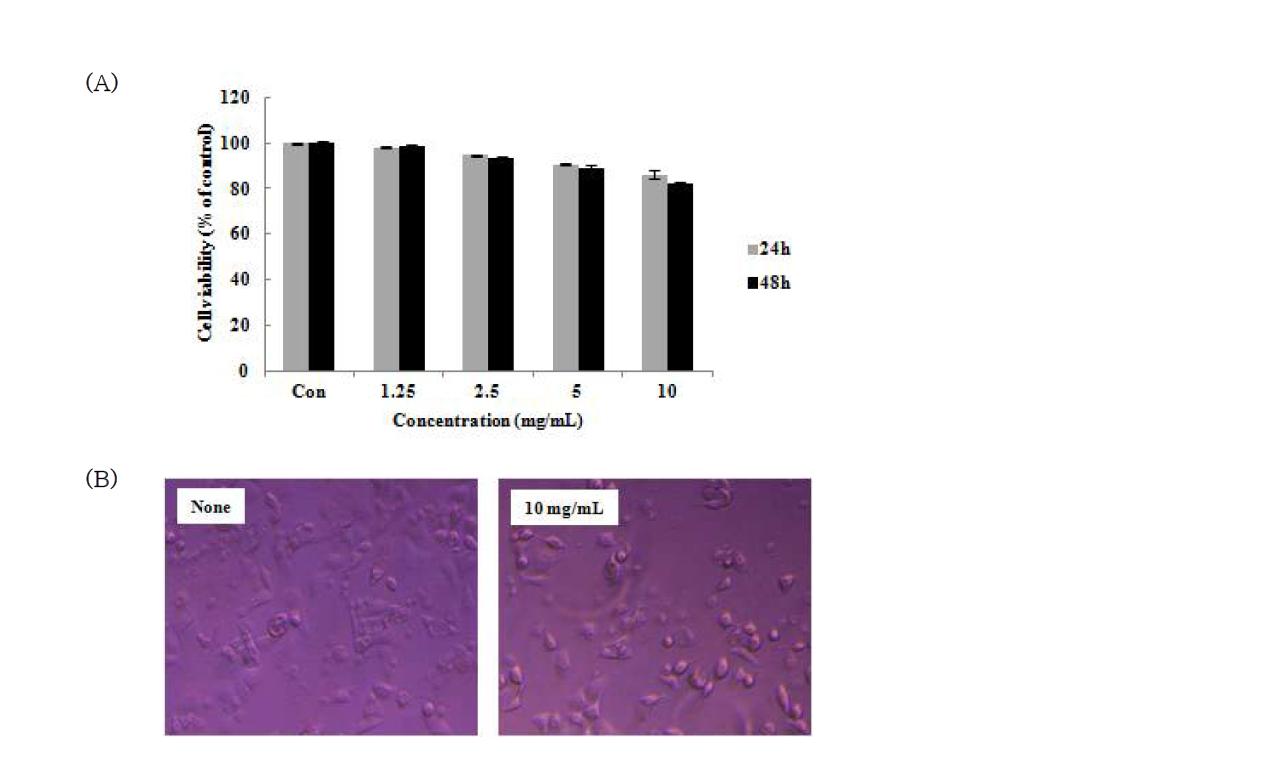 Antiproliferation effects of ALH culture medium on human stomach cancer cells(AGS). AGS cells were treated with various concentrations of ALH culture medium for 24 and 48 hr.