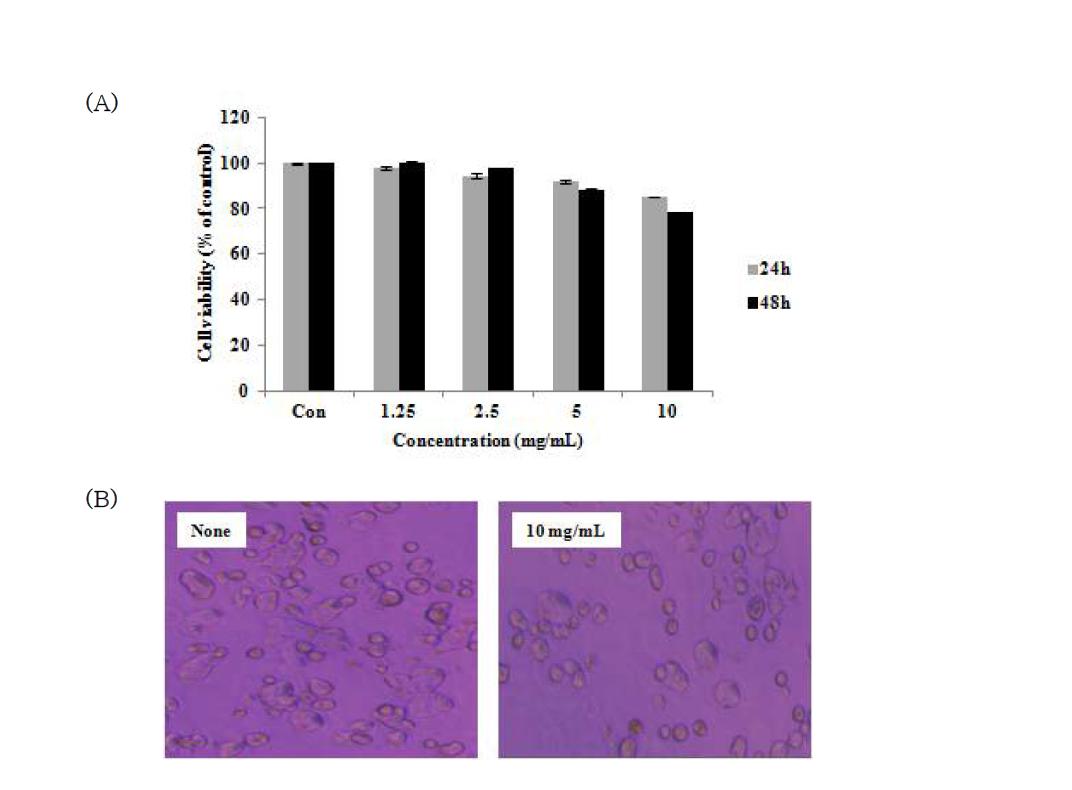 Antiproliferation effects of ALH culture medium on human colon cancer cells(HT-29). HT-29 cells were treated with various concentrations of ALH culture medium for 24 and 48 hr.