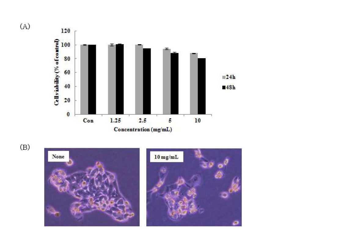 Antiproliferation effects of ALH culture medium on human liver cancer cells(HepG2). HepG2 cells were treated with various concentrations of ALH culture medium for 24 and 48 hr.