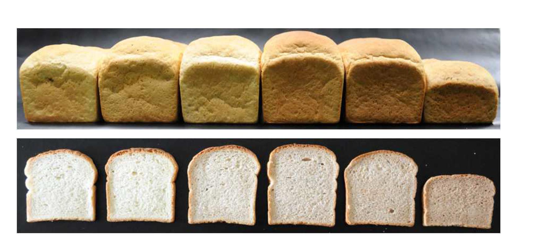 Cross section of bread added antifungal lactic acid bacteria culture medium and cinnamon ethanol extract.