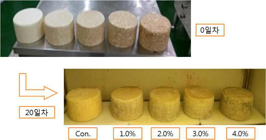 Effect of fungal growth inhibition on Tilsiter cheese treated with added cinnamon powder