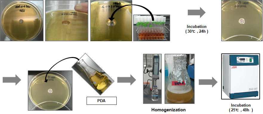 Antifungal activity of lactic acid bacteria isolated from Kimchi.