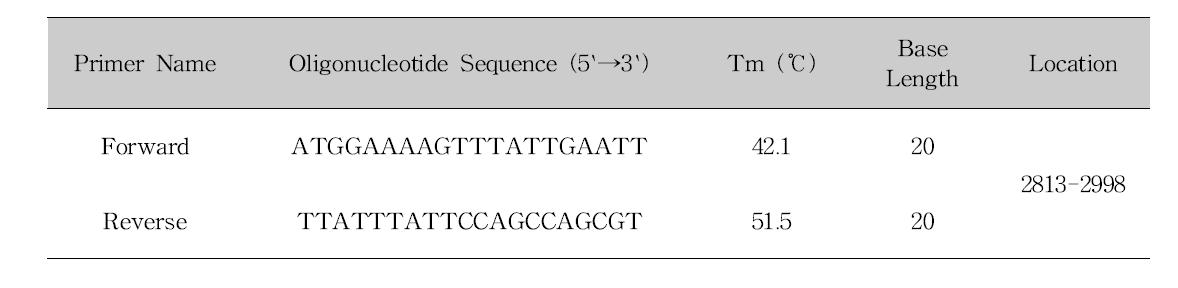 Oligonucleotide primers for PCR amplification