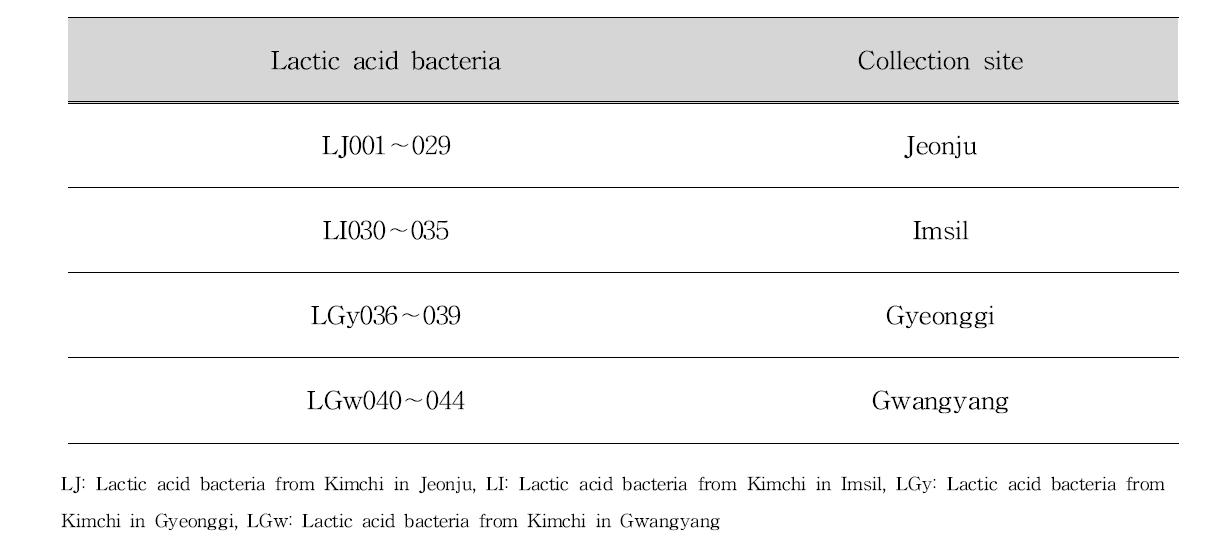 Lactic acid bacteria isolated from Kimchi