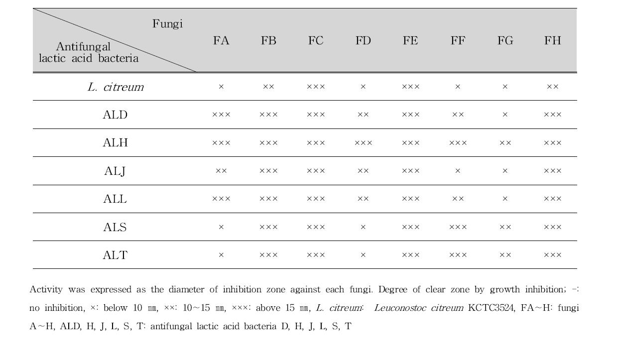 Antifungal activity of lactic acid bacteria isolated from Kimchi against cheese and cheese ripening room