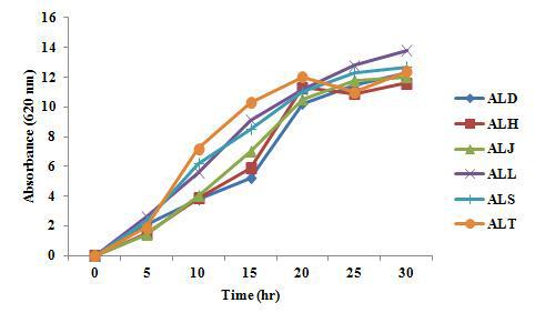 Time course of antifungal lactic acid bacteria growth. ALD, H, J, L, S, T: antifungal lactic acid bacteria D, H, J, L, S, T.