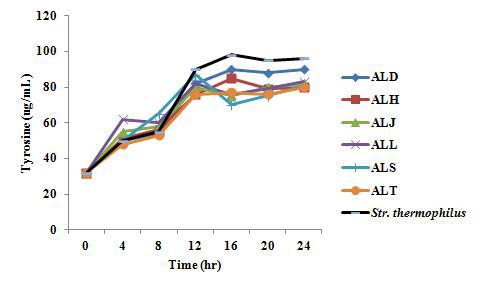 Proteolytic activity of antifungal lactic acid bacteria isolated from Kimchi in 10% reconstituted skim milk at 30℃. Streptococcus thermophilus: Str. thermophilus Body-1, ALD, H, J, L, S, T: antifungal lactic acid bacteria D, H, J, L, S, T.