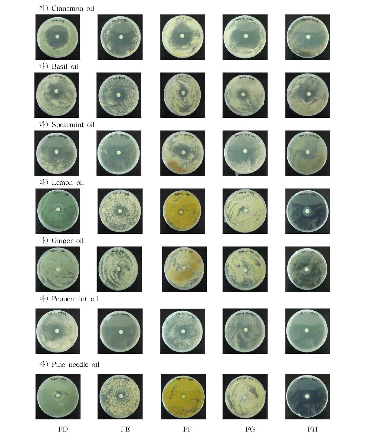 Screening of antifungal effect for commercial essential oil.