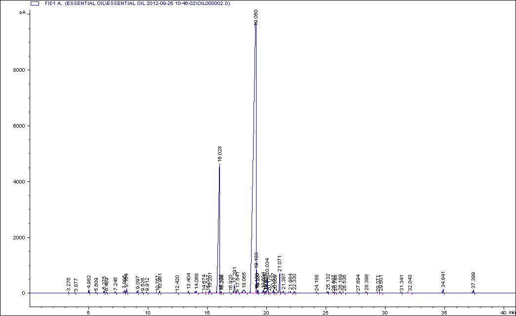 Gas chromatogram of basil oil.