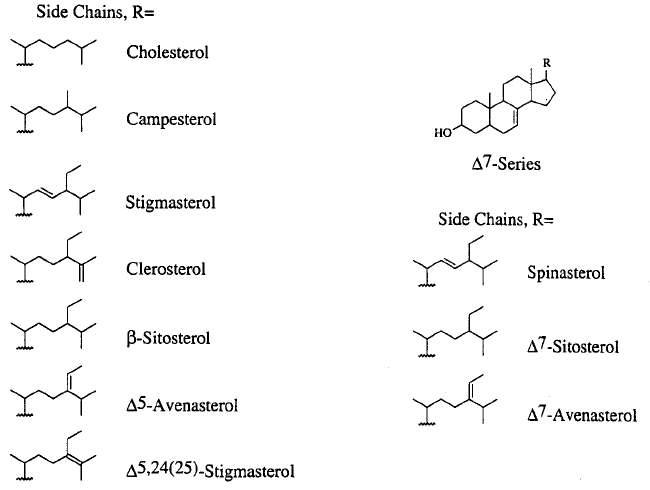 주요 phytosterol 분자구조.