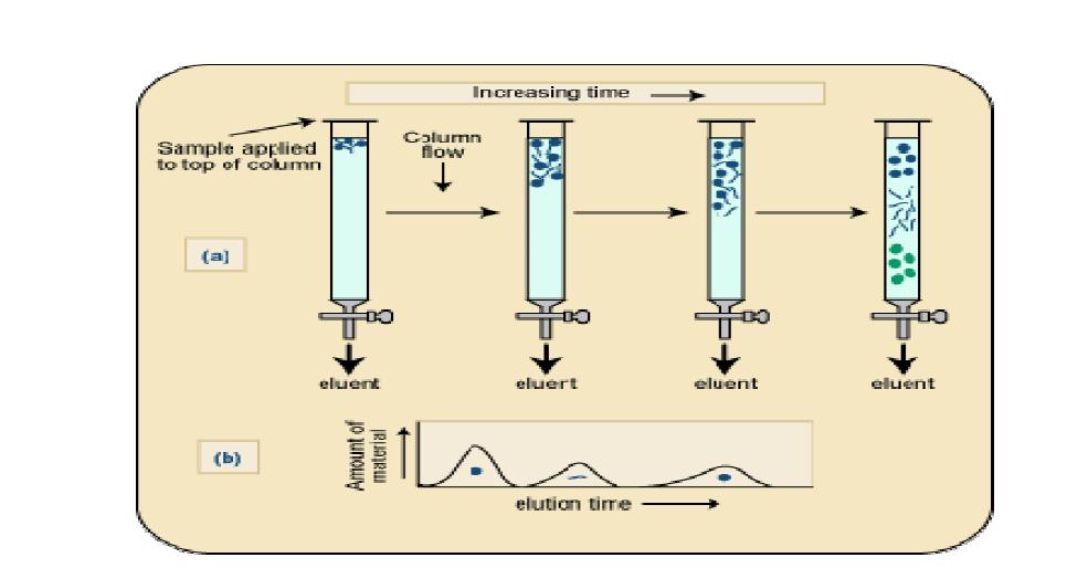 Open chromatography 분리 과정.