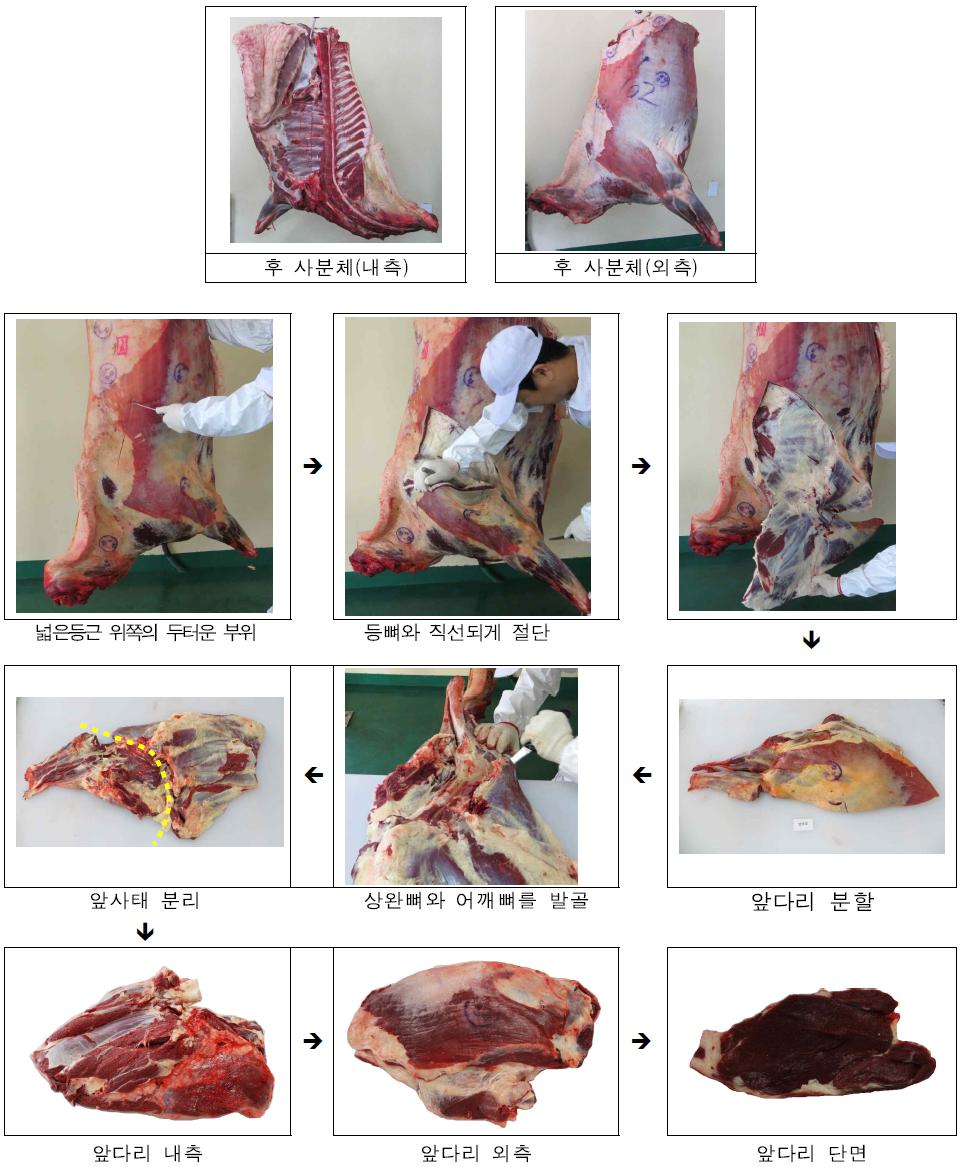 앞다리(Shoulder Clod) 분할