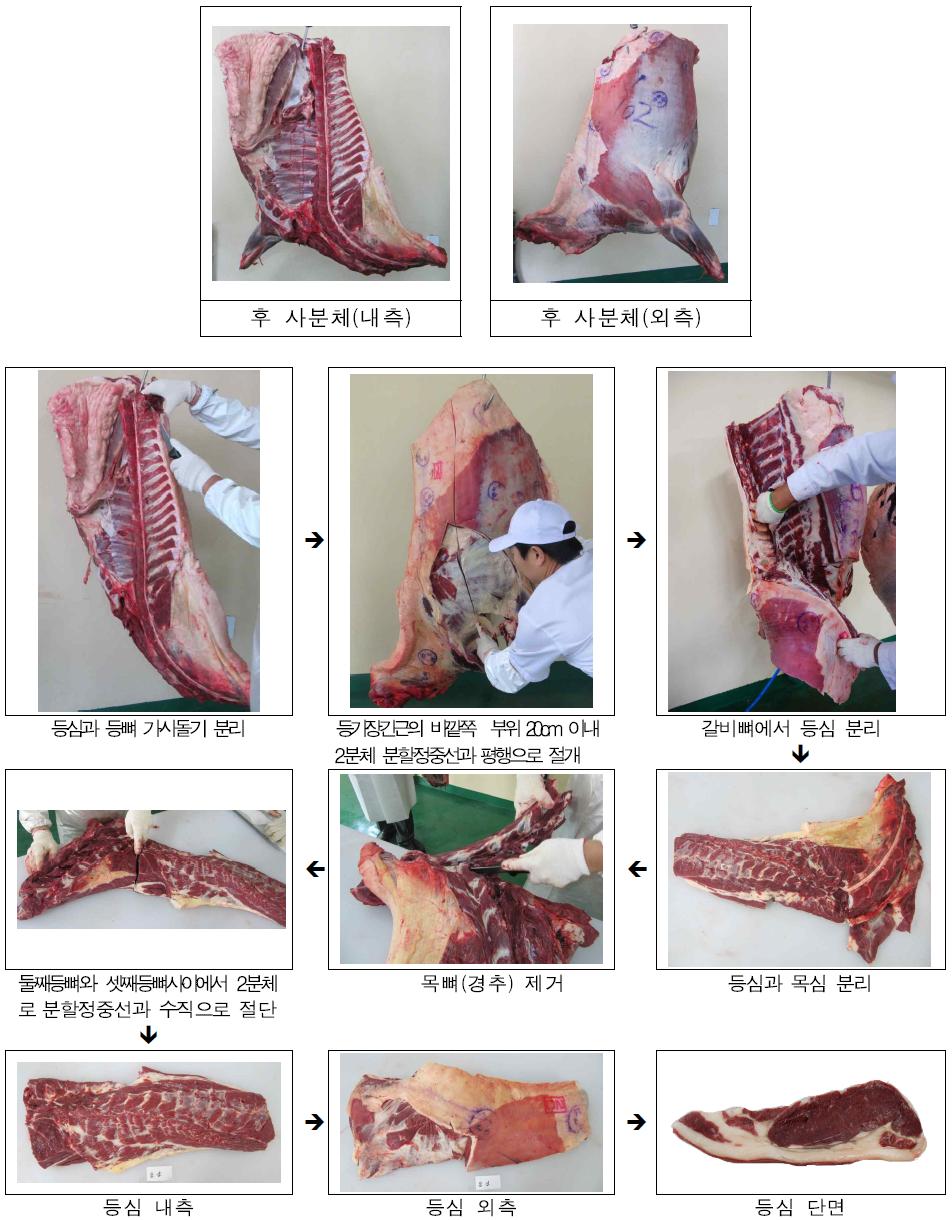 등심(Loin) 분할