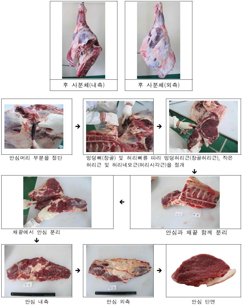 안심(TenderLoin) 분할