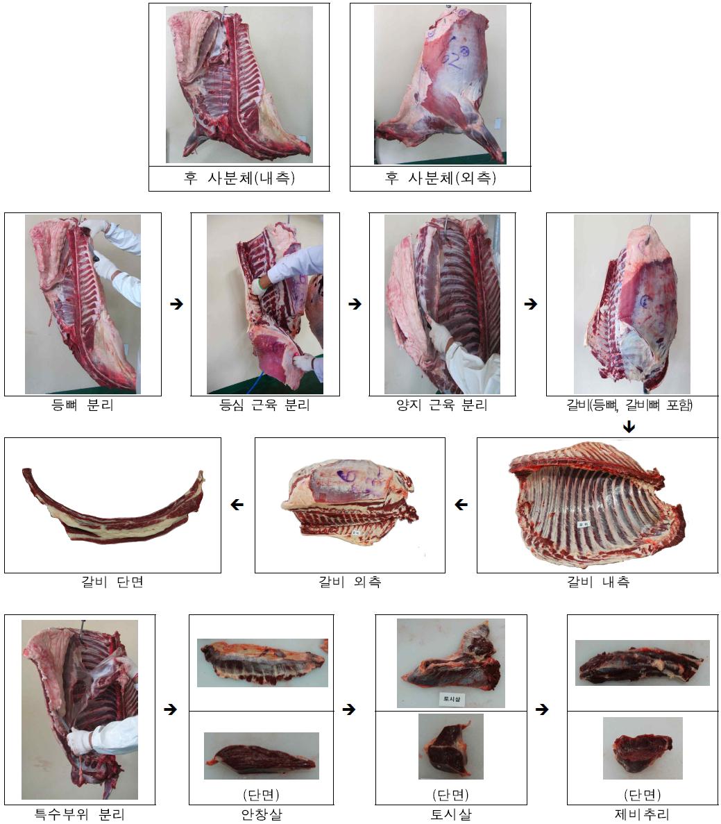 갈비(Rib) 및 특수부위 분할