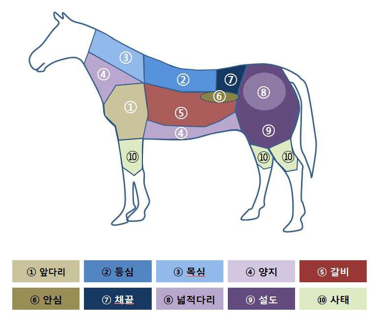 말고기 부위별 안내도