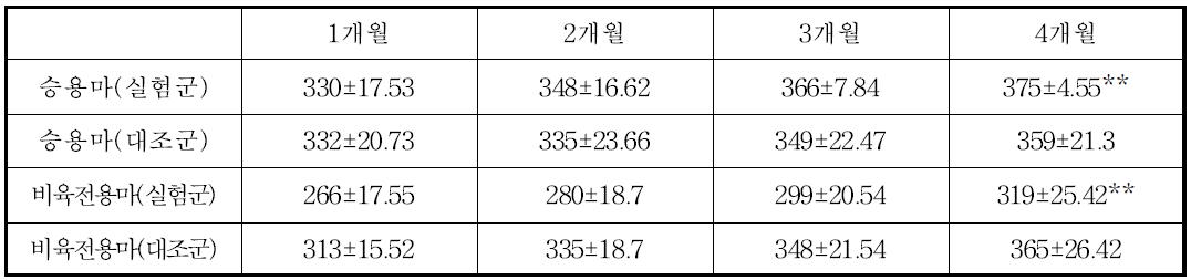 비육기간에 따른 승용마와 비육전용마의 체중 변화