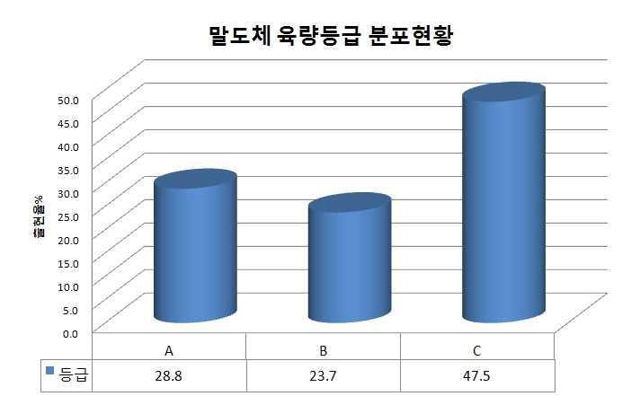 말고기 육량등급 분포도