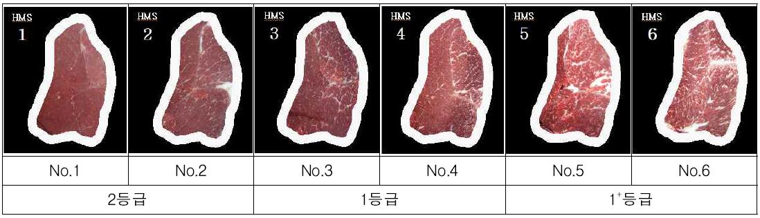 현행 근내지방도 기준