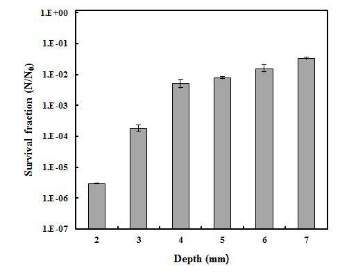 고강도 광펄스 처리에 의한 효모의 불활성화에 대한 시료 깊이의 영향.고강도 광펄스처리조건 :1000V,120s.