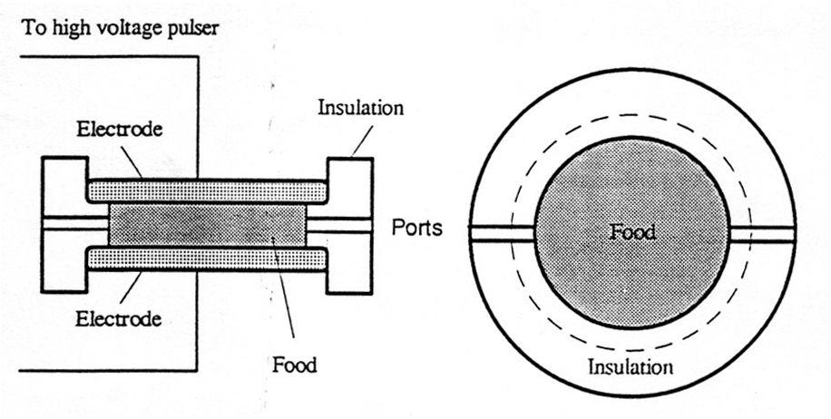 고전압 펄스 전기장의 회분식 처리용기