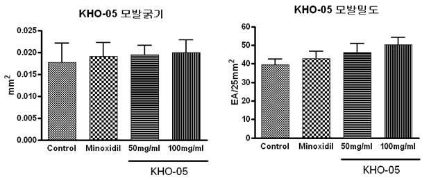 C57BL/6 마우스에서 KHO-05에 의한 모발 굵기 및 밀도 변화 확인