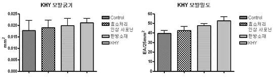 C57BL/6 마우스에서 KHY에 의한 모발 굵기 및 밀도 변화 확인