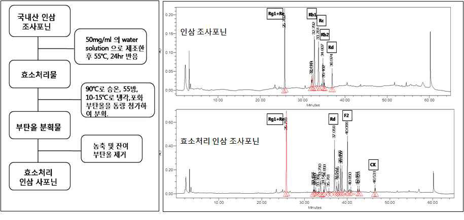 효소처리 인삼 사포닌의 제조 방법 및 미량 사포닌 증가 확인