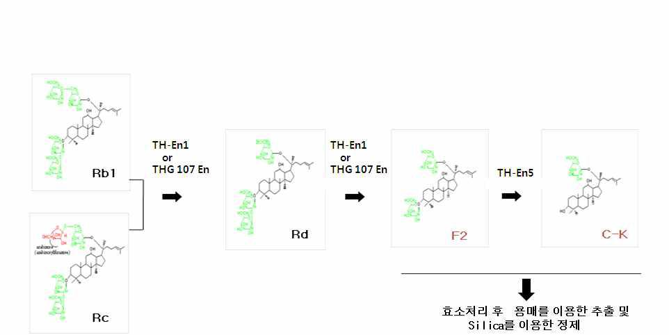 효소를 이용한 F2 및 C-K생산 제조공정 예