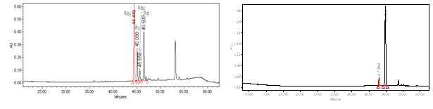 효소 처리 전후의 진세노사이드 HPLC 패턴 변화