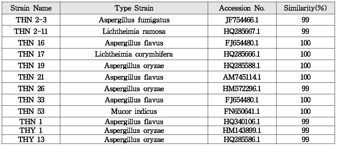 누룩유래 균주 12종에 대한 ITS sequencing 결과