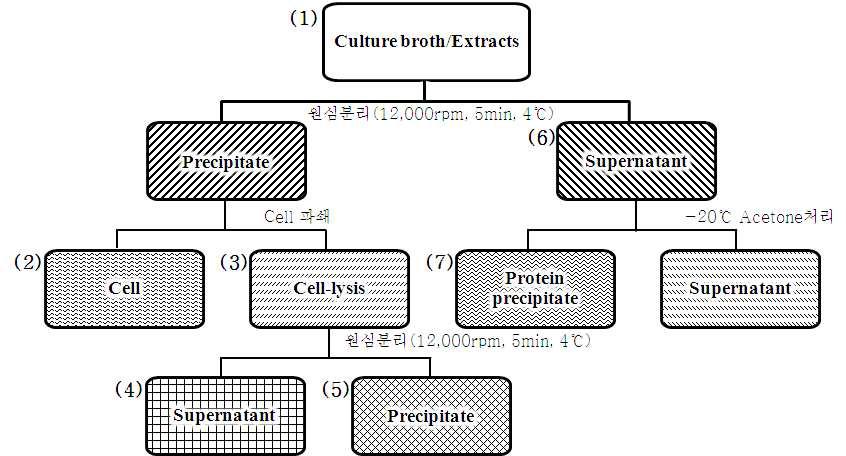 피부기능성 평가용 소재 획득 방법.