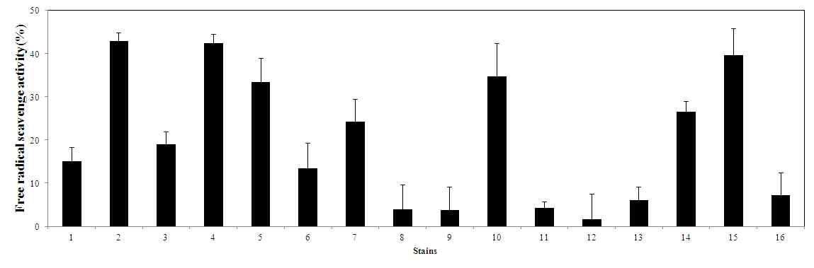 DPPH assay를 통한 각 균주의 항산화 활성 측정 결과. 1. Strain D57, 2. Strain D433, 3. Strain F3, 4. Strain F45, 5. Strain F64, 6. Strain R80, 7. Strain S1, 8. Strain U22, 9. Strain V8, 10. Strain V10, 11. Strain V14, 12. Strain W32, 13. Strain W33, 14. Strain W65, 15. StrainW69, 16. Strain Z27.