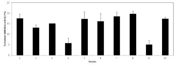 Tyrosinase inhibition assay를 이용한 각 균주의 미백활성 측정 결과. 1. Strain D57, 2. Strain D433, 3. Strain F3, 4. Strain F45, 5. Strain R50, 6. Strain S1, 7. Strain W32, 8. Strain W33, 9. Strain W69, 10. Strain V8.