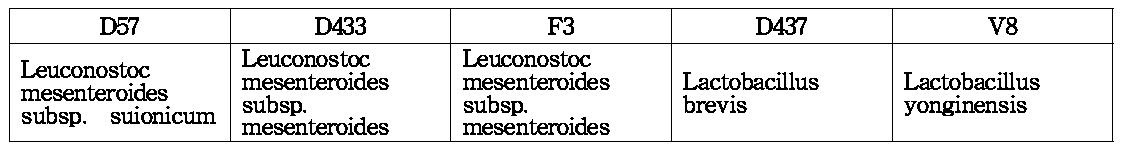 사포닌 전환 유산균주 5 종