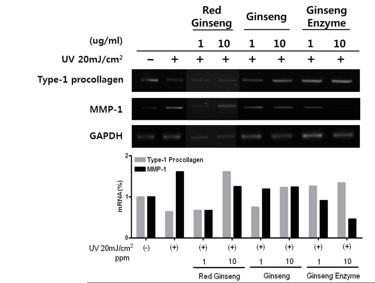 UVB를 조사한 HDF-N 세포에서 홍삼, 인삼 및 한약재 추출물을 1, 10 ppm의 농도로 처리하여 48시간 후의 Type-1 Procollagen 및 MMP-1의 mRNA 발현량을 확인한 결과. (Red Ginseng. : 홍삼 추출물, Ginseng : 인삼추출물, Ginseng Enzyme : 효소처리 인삼 추출물)