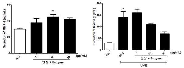 NHDF 세포에서 효소 처리한 인삼 시료를 1 및 10 ug/ml의 농도로 처리하여 세포 독성, MMP-1및 TGF-beta1 생성을 확인한 결과.