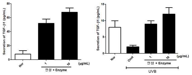 TGF-beta1 은 UVB 자극을 주지 않은 군 및 UVB 자극을 준 군에서 인삼 enzyme 처리시 1 및10ug/ml의 농도에서 농도 의존적으로 증가하였음.