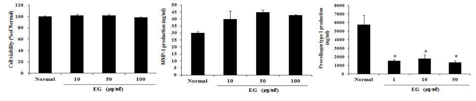 NHDF 세포에서 효소처리 인삼 소재를 10, 50 및 100 ug/ml의 농도로 처리하여 세포 증식, MMP-1 생성및 Procollagen type 1의 생성을 확인한 결과