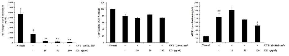 NHDF 세포에서 UVB를 144mJ/cm²조사한 후 효소처리 인삼 소재를 10, 50 및 100 ug/ml의 농도로 처리하여 세포 증식, MMP-1 생성 및 Procollagen type 1의 생성을 확인한 결과