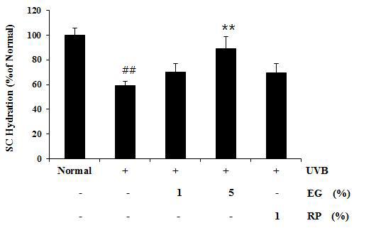 UVB를 조사한 광노화 무모생쥐에 효소처리 인삼 소재를 1 및 5%의 농도로 처리하여 수분 보유량을 측정한 결과