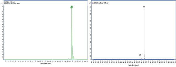 C-K standard 분자량 및 peak 면적 측정(1000ppm), 좌 : EIC(667.60) 우 : m.w.(667.60)