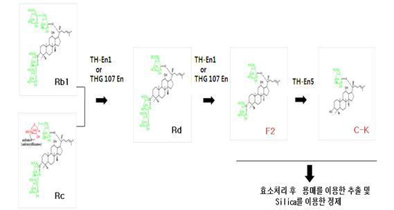 확보된 효소를 이용한 F2 및 C-K생산 제조공정 예