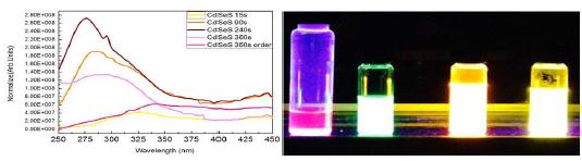 Fig. 24. (왼쪽) 시간대별로 합성한 CdSeS의 발광 특성 피크와 (오른쪽) UV 발광 사진