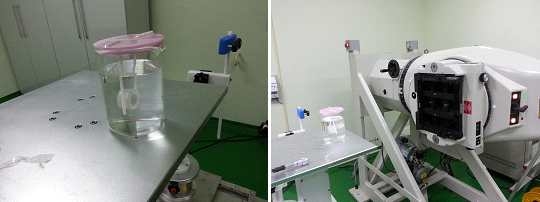 Fig. 14. Dosimetry of movable irradiation system using the OSL dosimeters.